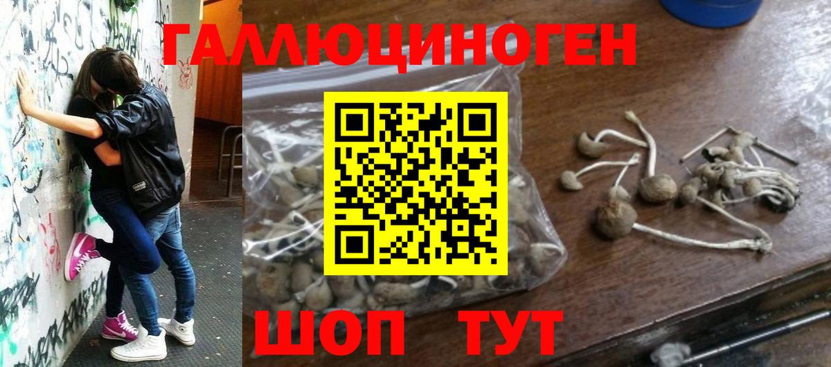 Люберцы  Галлюциногенные грибы Cubensis  Вход с VPN 