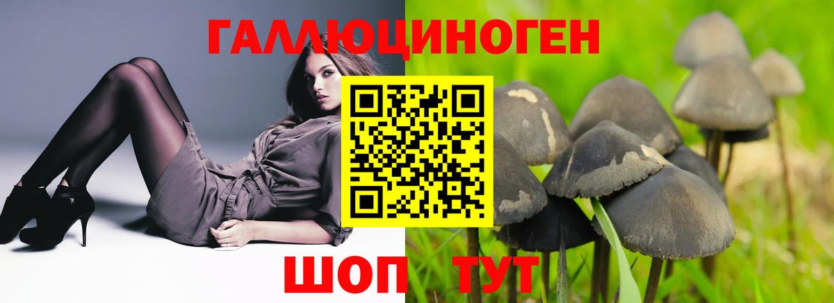 Галлюциногенные грибы ЛСД Люберцы